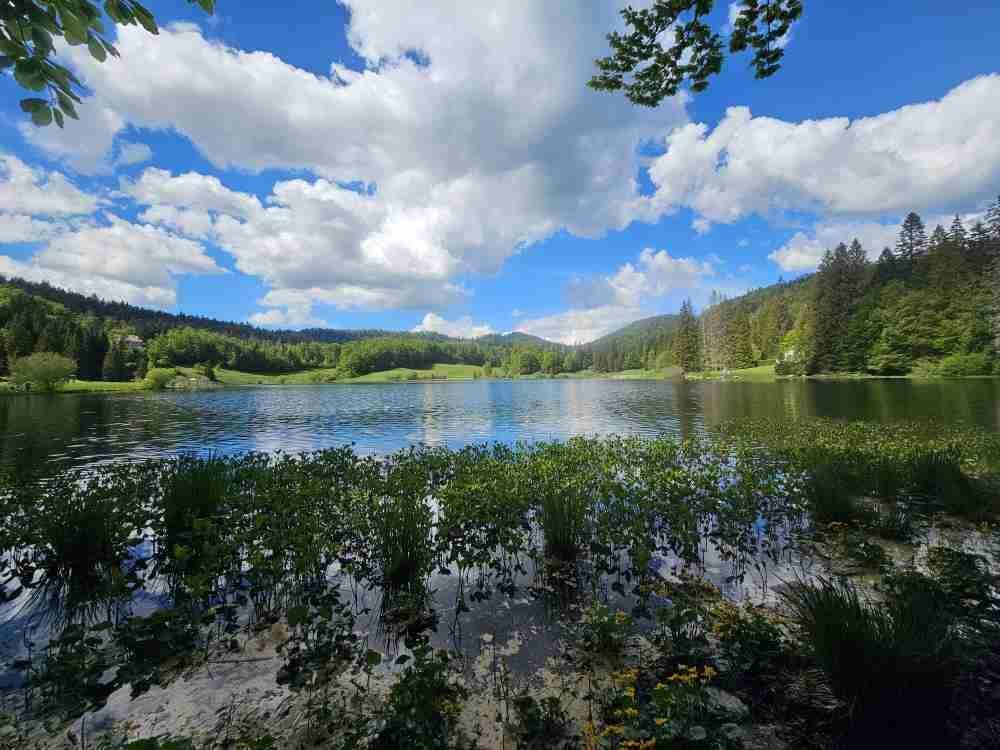 Randonnée Haut-Bugey 5